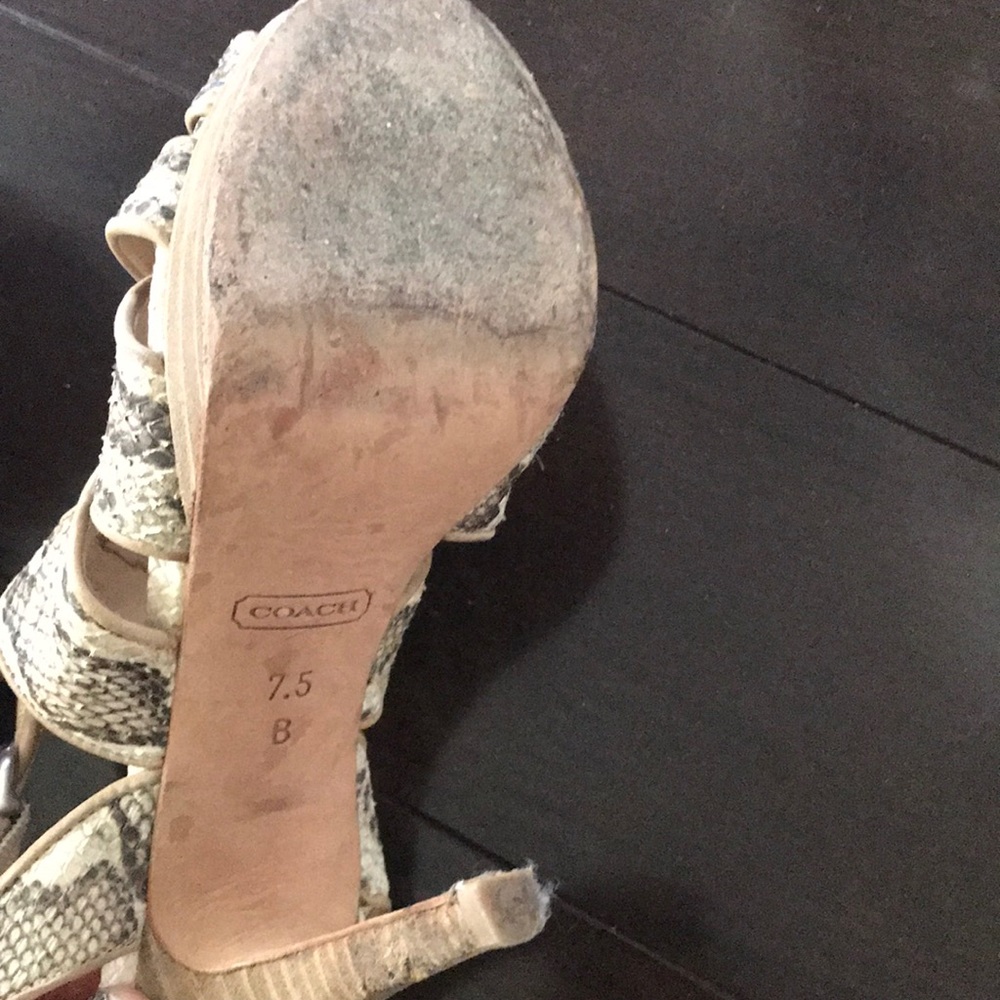 Coach Snake/Python Leather Shoes - image 5